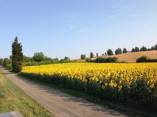 Agriturismo La Cavaliera image 16