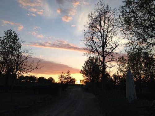 Agriturismo La Cavaliera image 37