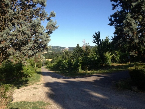 Agriturismo La Cavaliera image 6